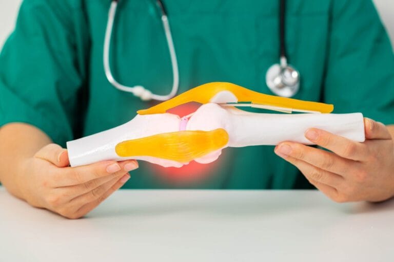 Médico segurando protótipo de joelho